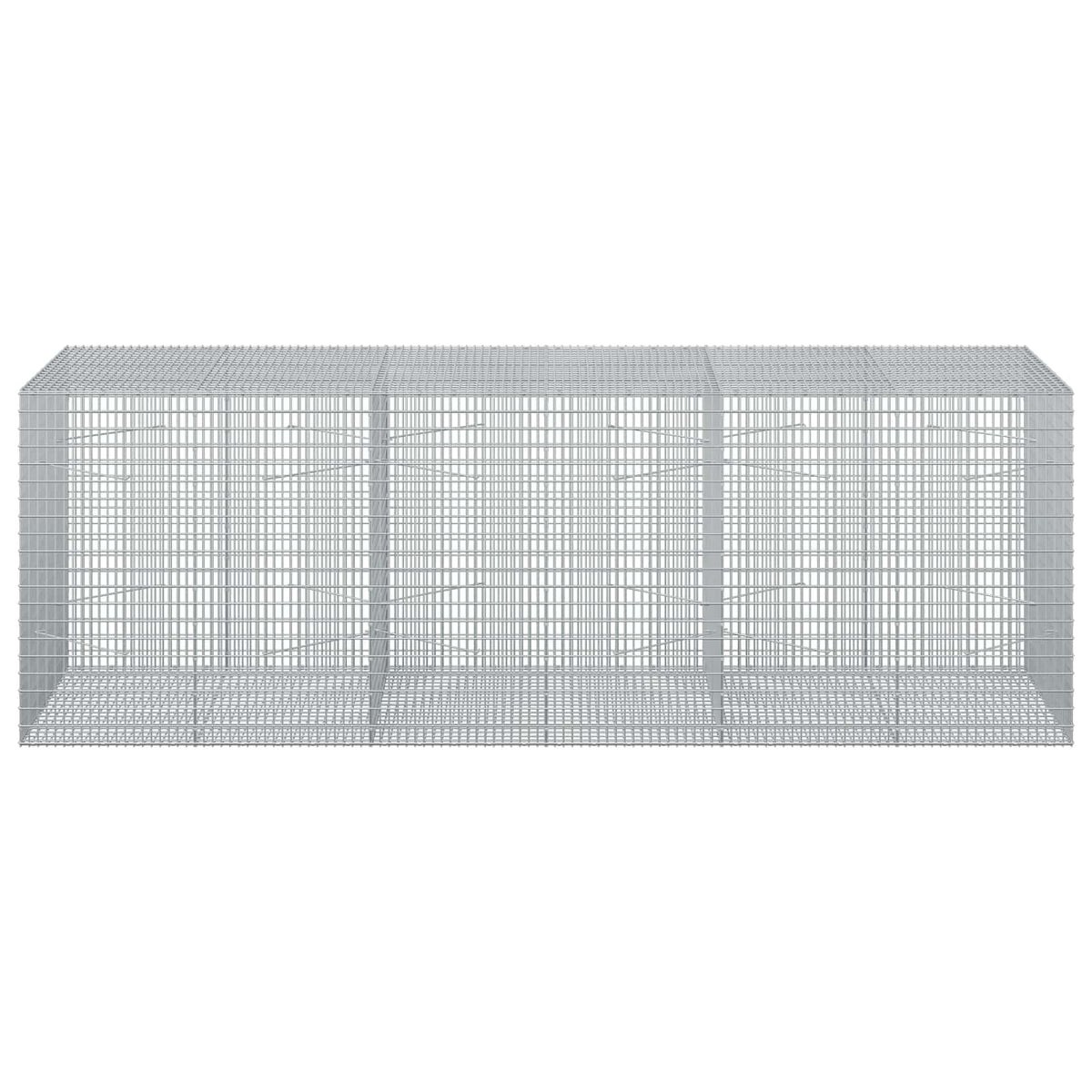 Gabion with 3.5 mm Wire and 5x2.5 cm Mesh 300x100x100 cm