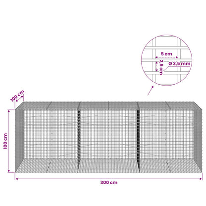 Gabion with 3.5 mm Wire and 5x2.5 cm Mesh 300x100x100 cm