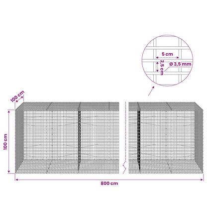 Gabion with 3.5 mm Wire and 5x2.5 cm Mesh 800x100x100 cm