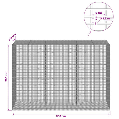 Gabion with 3.5 mm Wire and 5x2.5 cm Mesh 300x100x200 cm