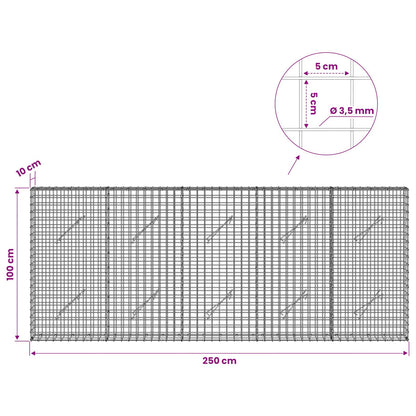Gabion with 3.5 mm Wire and 5x5 cm Mesh 250x10x100 cm