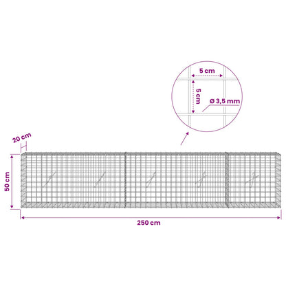 Gabion with 3.5 mm Wire and 5x5 cm Mesh 250x20x50 cm