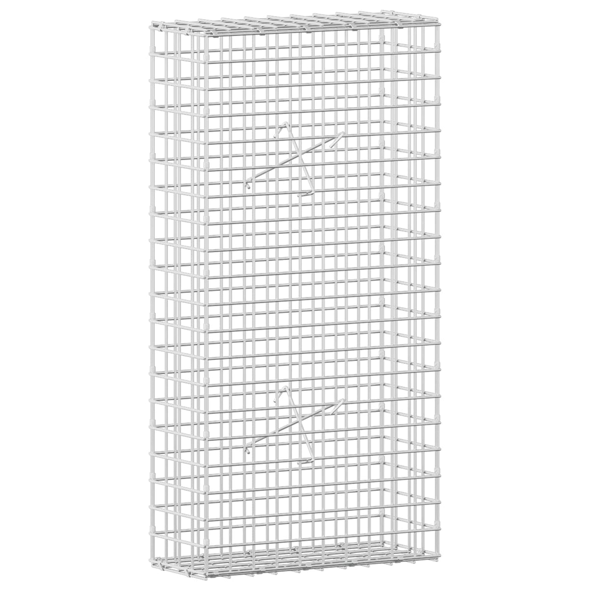 Gabion with 3.5 mm Wire and 5x5 cm Mesh 50x20x100 cm