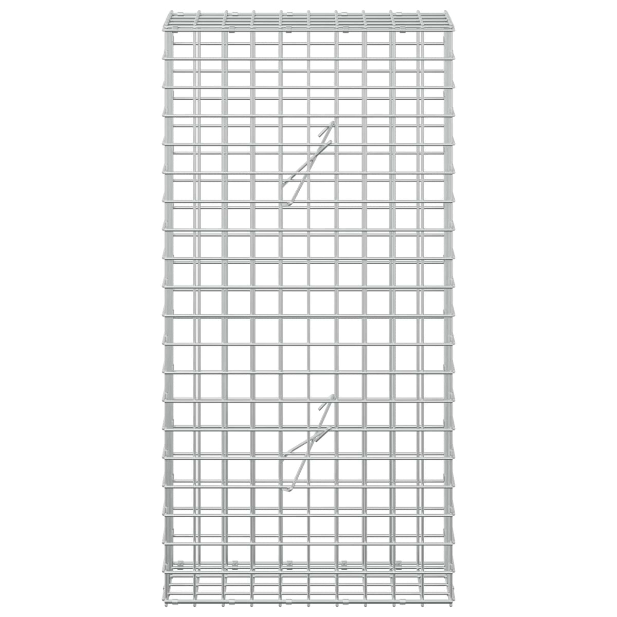 Gabion with 3.5 mm Wire and 5x5 cm Mesh 50x20x100 cm