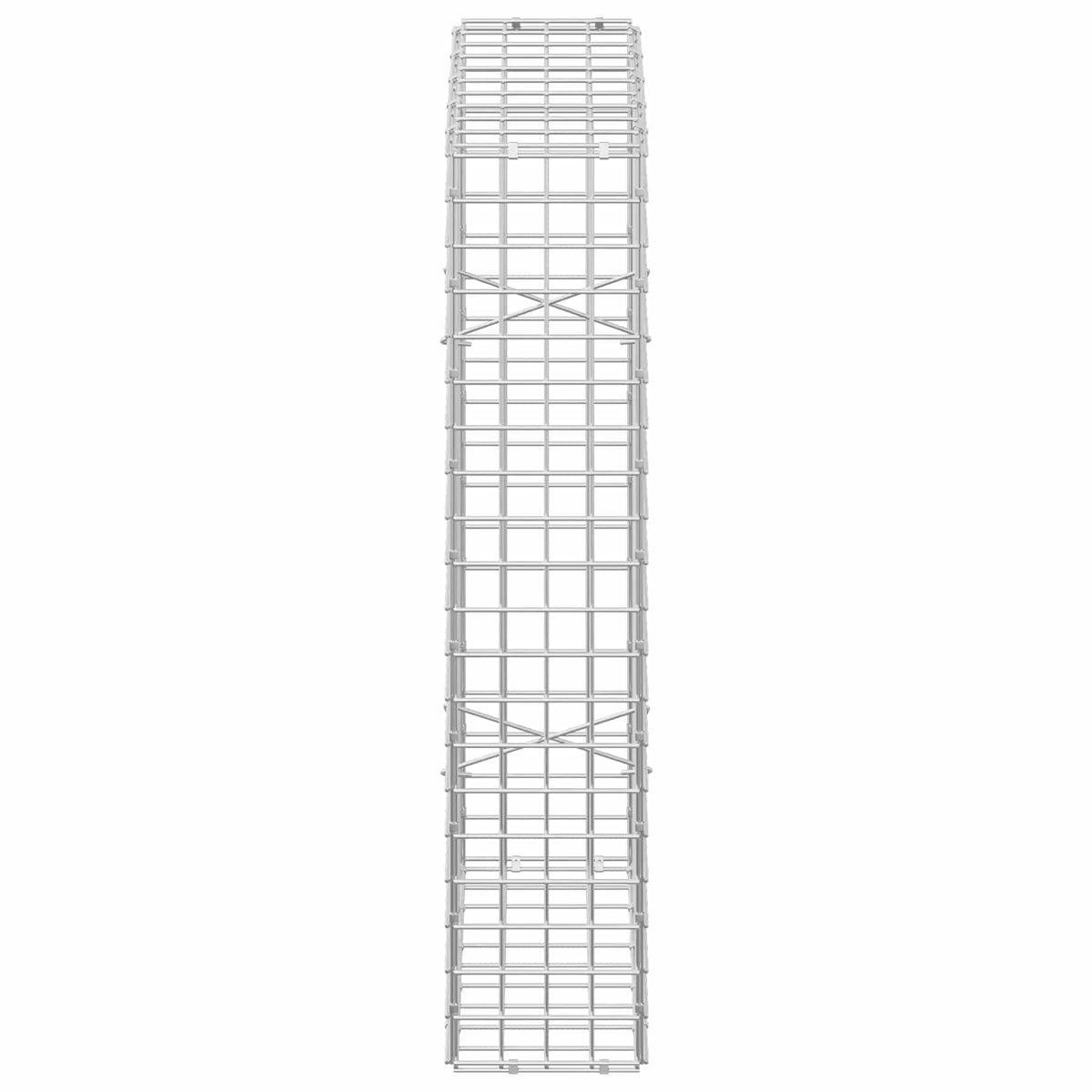 Gabion with 3.5 mm Wire and 5x5 cm Mesh 50x20x100 cm