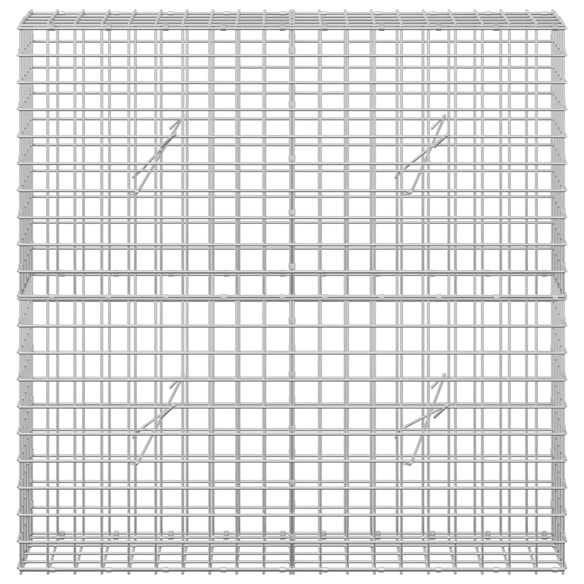 Gabion with 3.5 mm Wire and 5x5 cm Mesh 100x20x100 cm