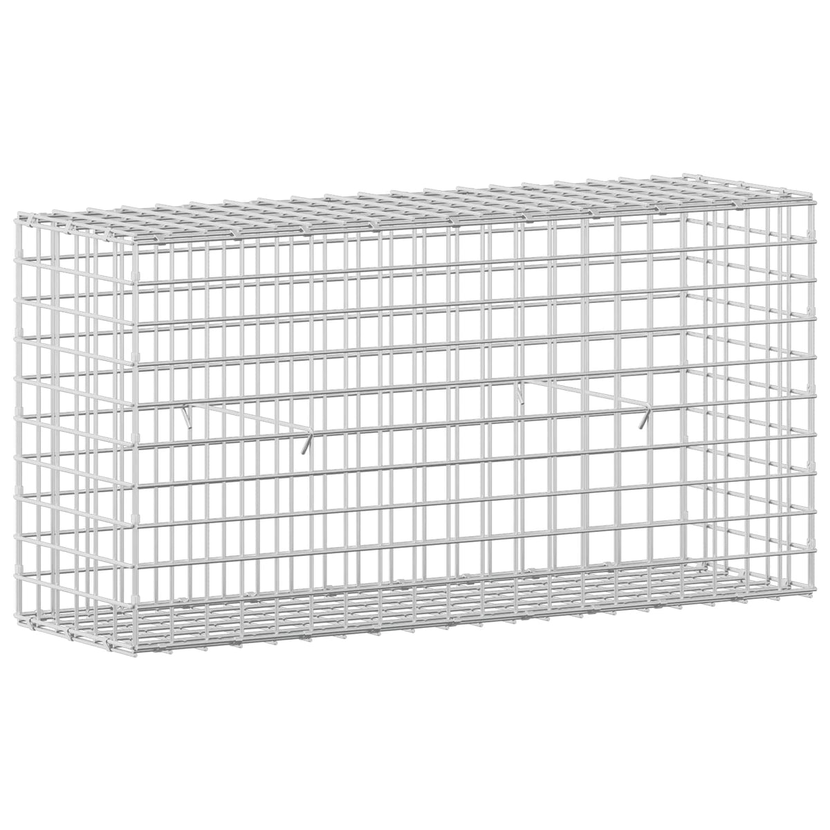 Gabion with 3.5 mm Wire and 5x5 cm Mesh 100x30x50 cm