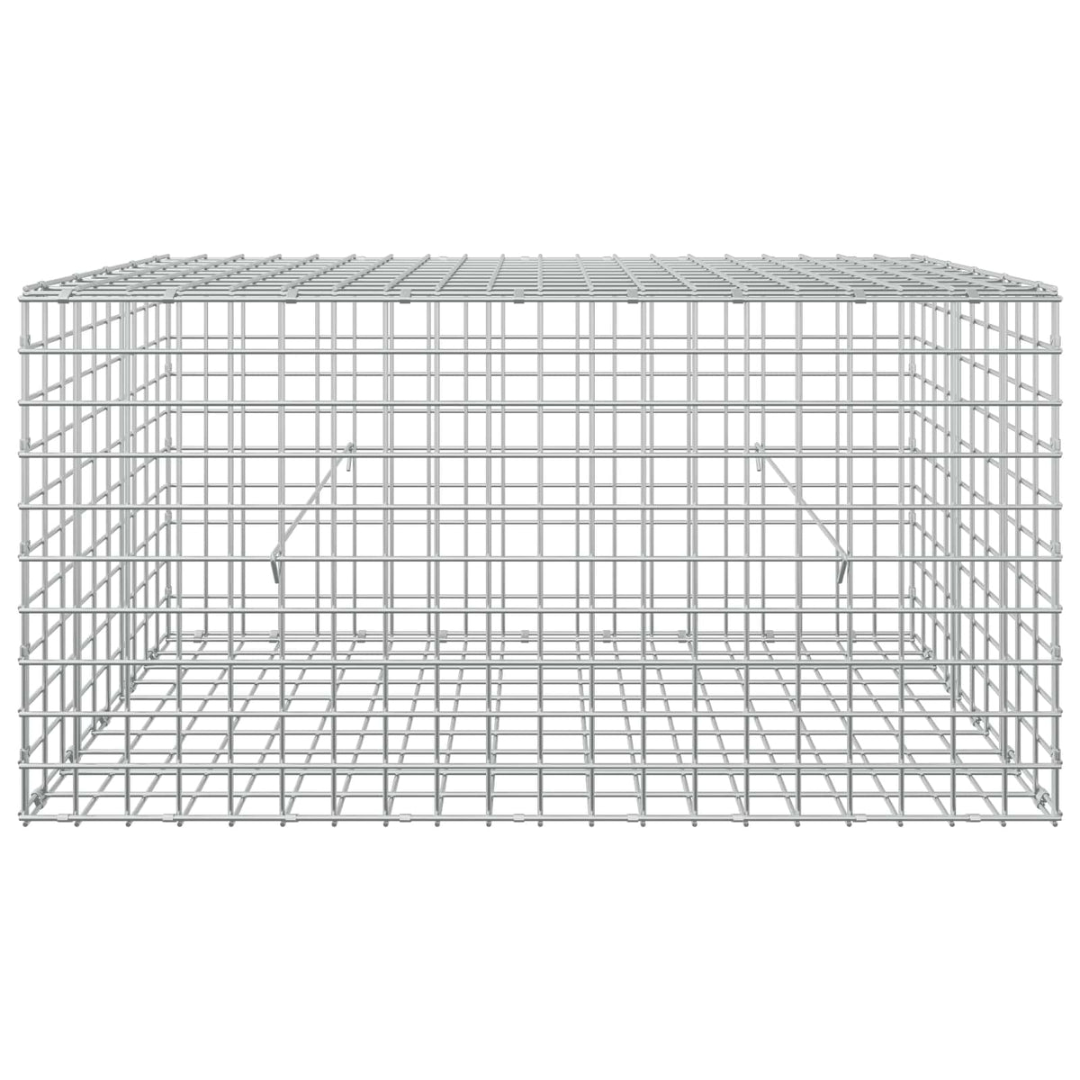 Gabion with 3.5 mm Wire and 5x5 cm Mesh 100x50x50 cm