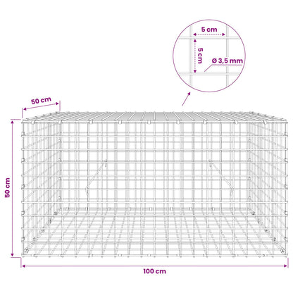Gabion with 3.5 mm Wire and 5x5 cm Mesh 100x50x50 cm