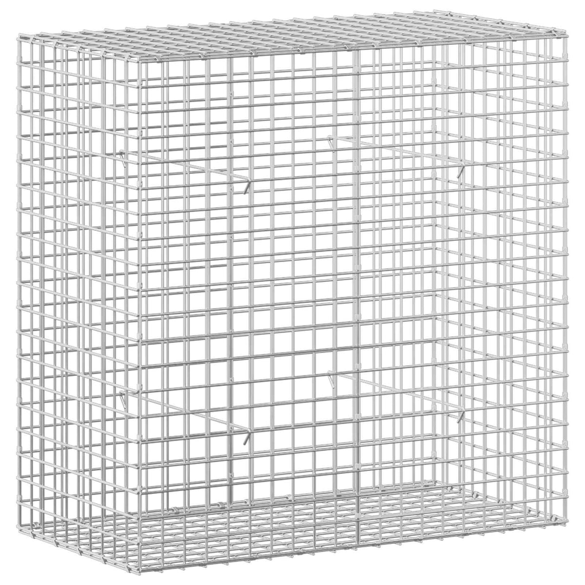 Gabion with 3.5 mm Wire and 5x5 cm Mesh 100x50x100 cm
