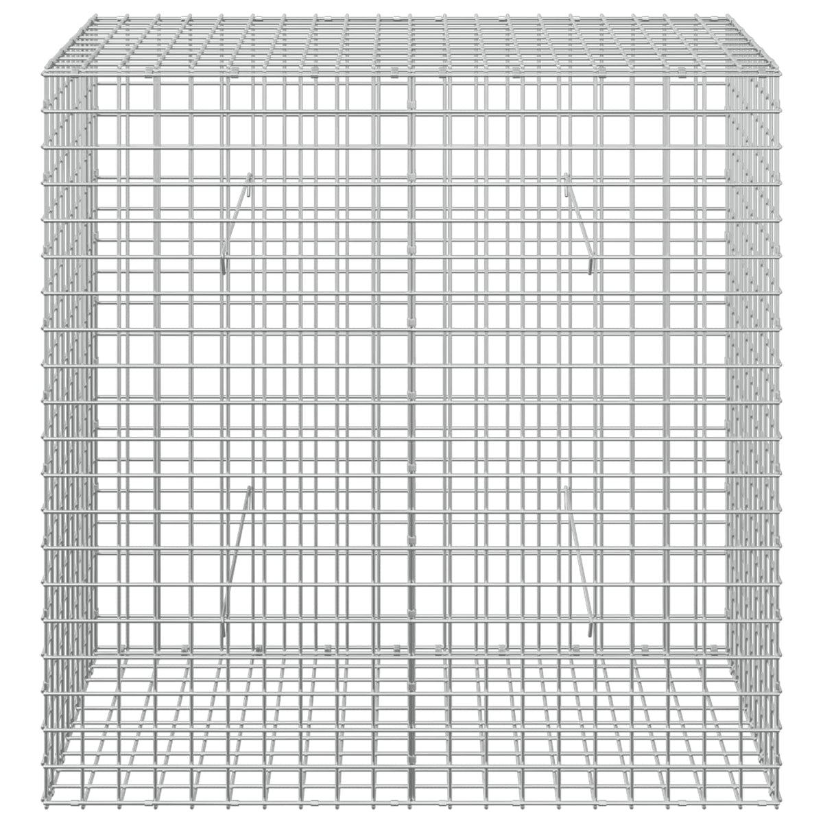 Gabion with 3.5 mm Wire and 5x5 cm Mesh 100x50x100 cm