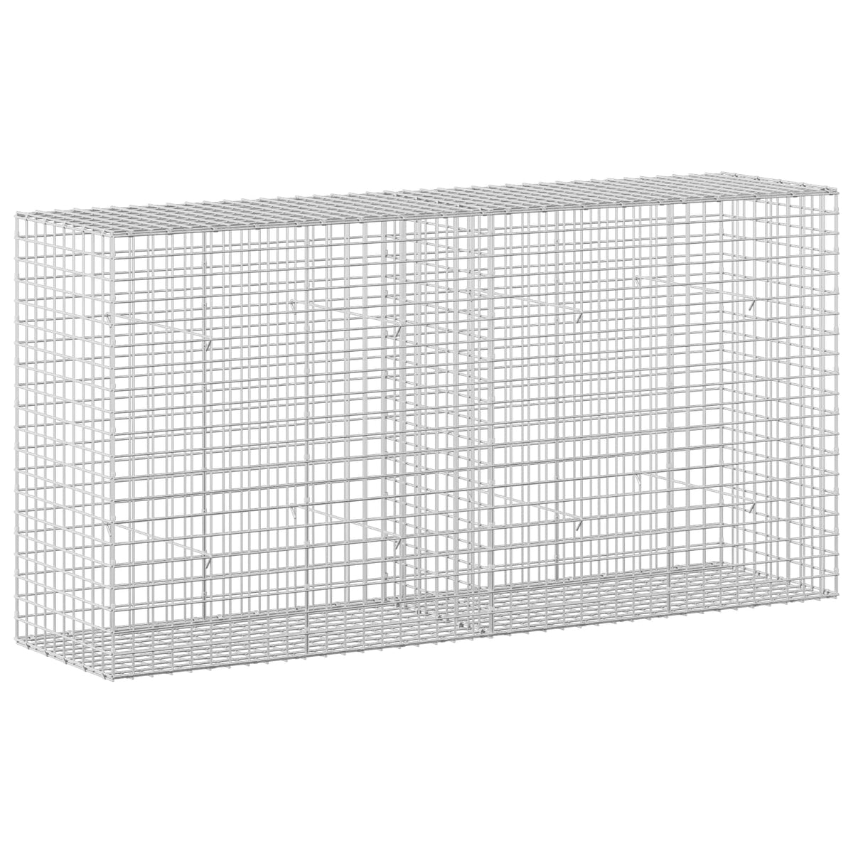 Gabion with 3.5 mm Wire and 5x5 cm Mesh 200x50x100 cm