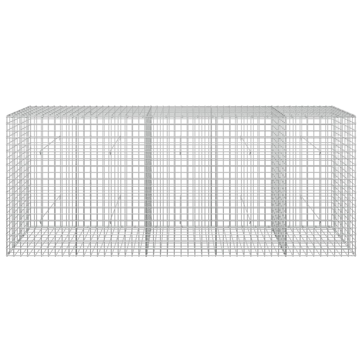Gabion with 3.5 mm Wire and 5x5 cm Mesh 250x50x100 cm