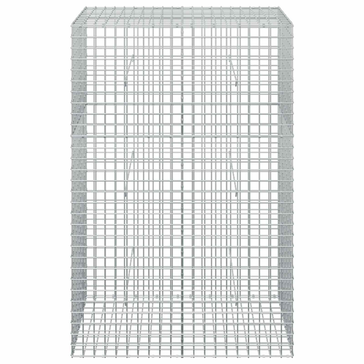 Gabion with 3.5 mm Wire and 5x5 cm Mesh 100x50x150 cm