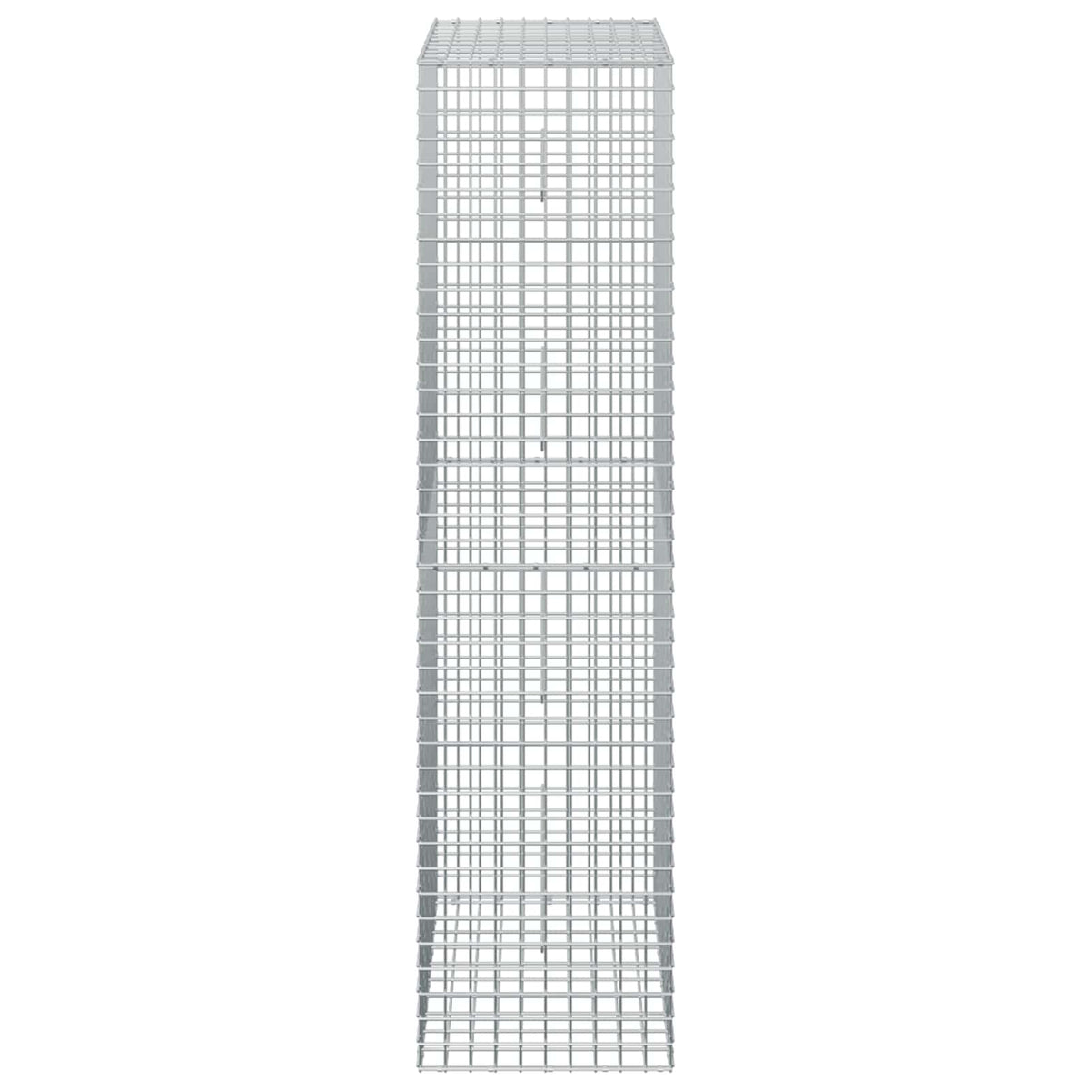Gabion with 3.5 mm Wire and 5x5 cm Mesh 50x50x200 cm