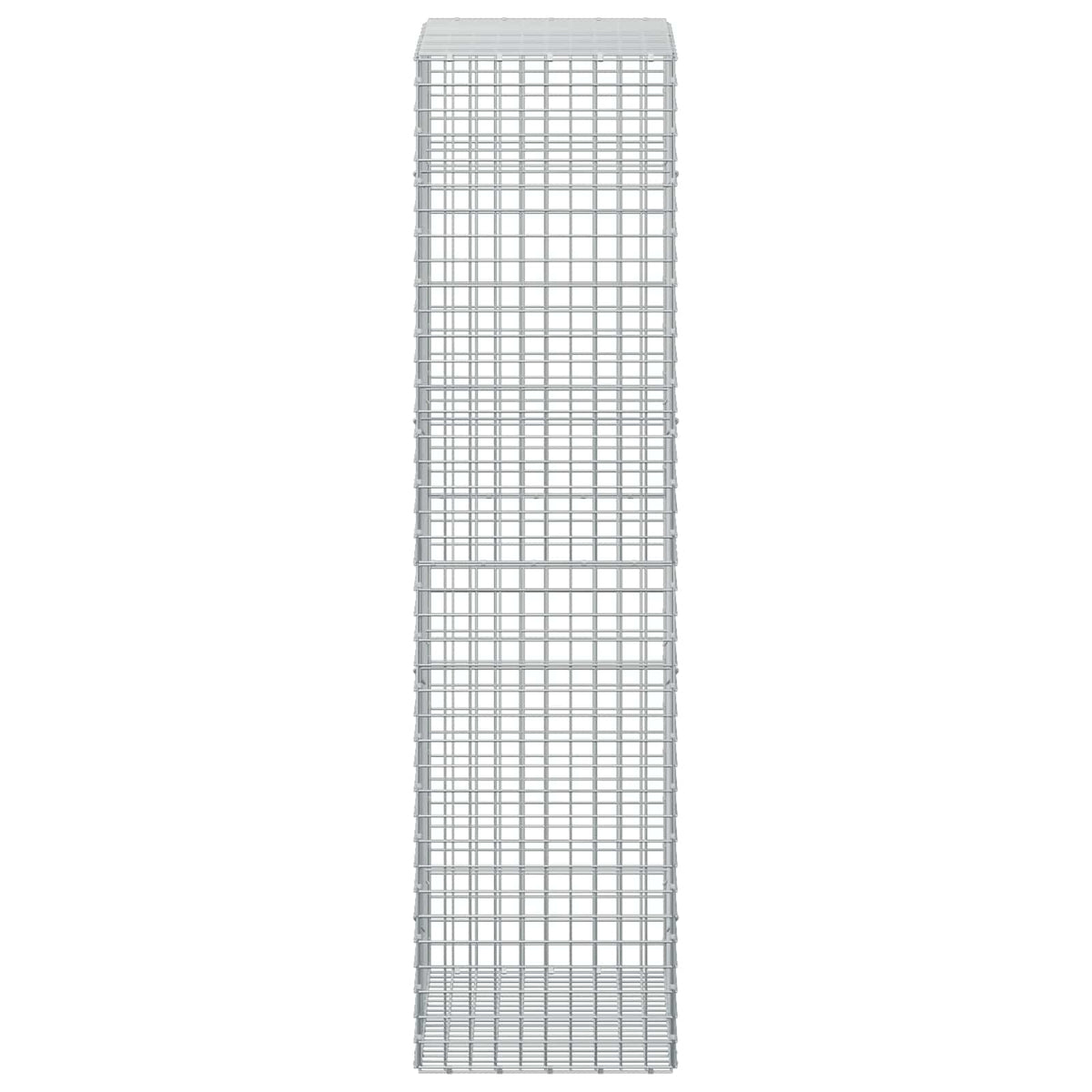 Gabion with 3.5 mm Wire and 5x5 cm Mesh 100x50x200 cm