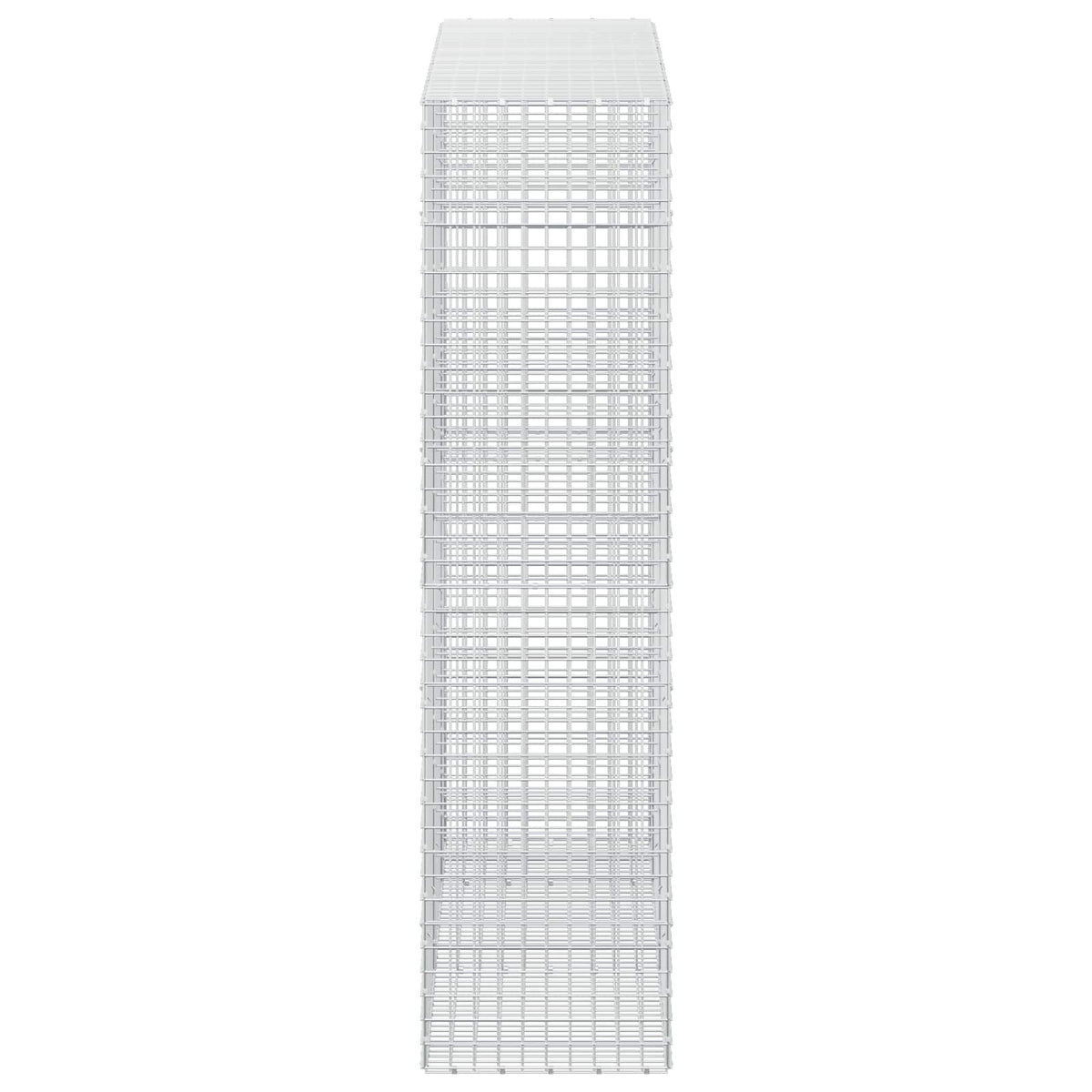 Gabion with 3.5 mm Wire and 5x5 cm Mesh 250x50x200 cm