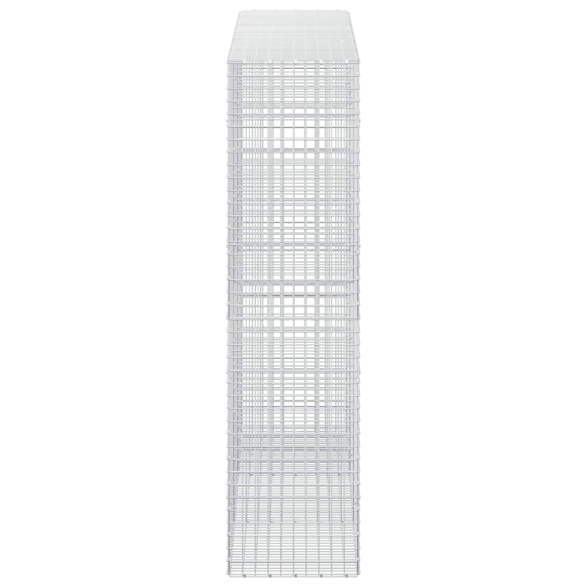Gabion with 3.5 mm Wire and 5x5 cm Mesh 300x50x200 cm