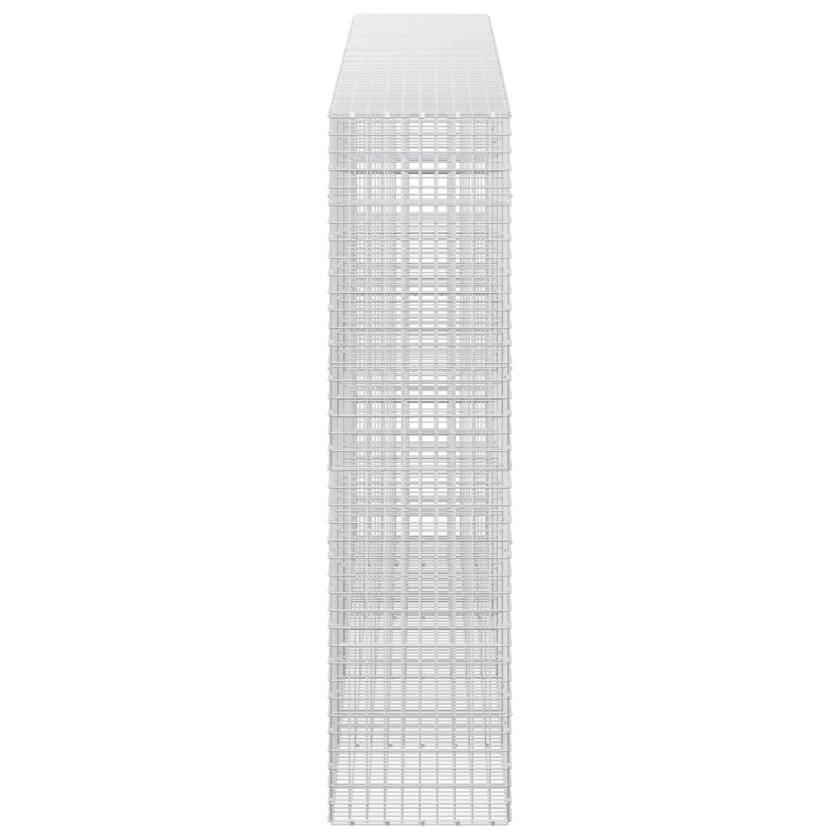 Gabion with 3.5 mm Wire and 5x5 cm Mesh 450x50x200 cm