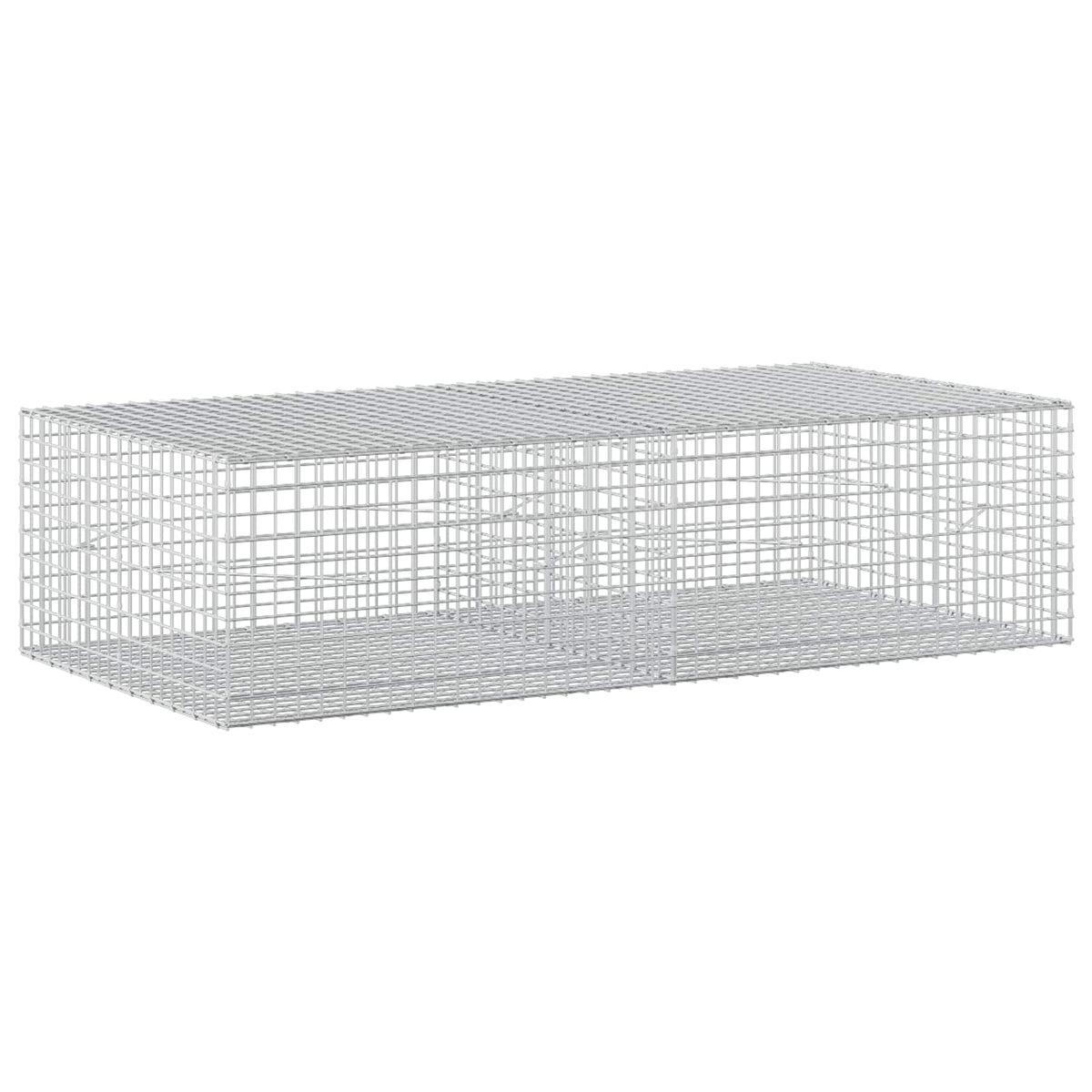 Gabion with 3.5 mm Wire and 5x5 cm Mesh 200x100x50 cm