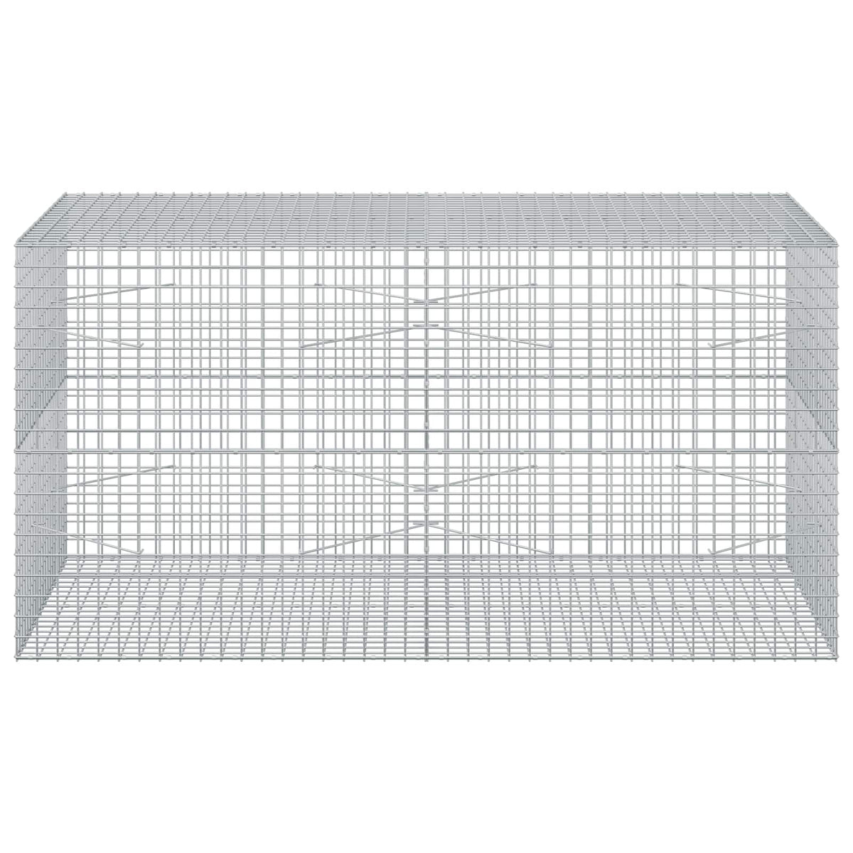 Gabion with 3.5 mm Wire and 5x5 cm Mesh 200x100x100 cm