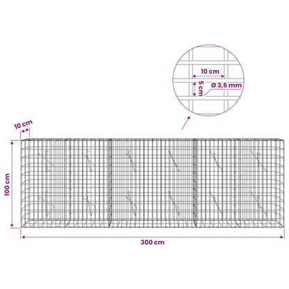 Gabion with 3.5 mm Wire and 5x10 cm Mesh 300x10x100 cm