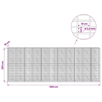 Gabion with 3.5 mm Wire and 5x10 cm Mesh 550x10x200 cm