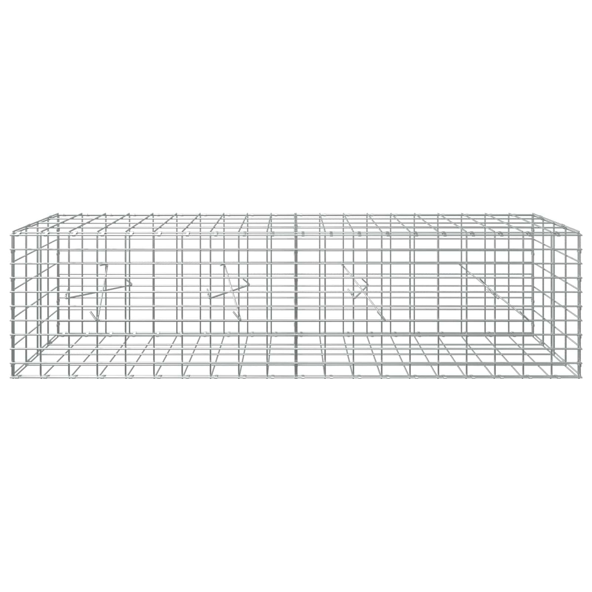 Gabion with 3.5 mm Wire and 5x10 cm Mesh 200x20x50 cm