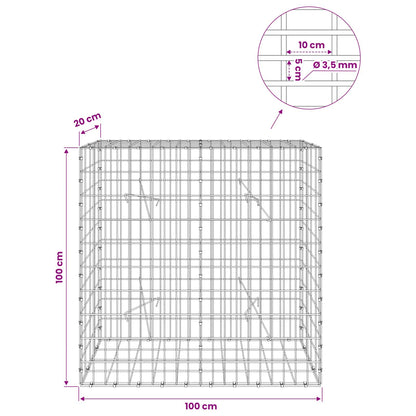 Gabion with 3.5 mm Wire and 5x10 cm Mesh 100x20x100 cm
