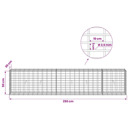 Gabion with 3.5 mm Wire and 5x10 cm Mesh 250x30x50 cm