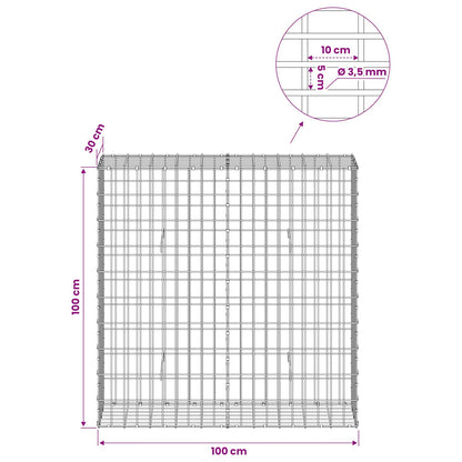 Gabion with 3.5 mm Wire and 5x10 cm Mesh 100x30x100 cm