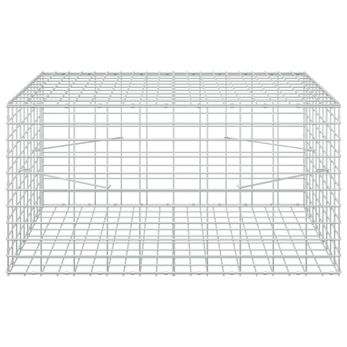 Gabion with 3.5 mm Wire and 5x10 cm Mesh 100x100x50 cm