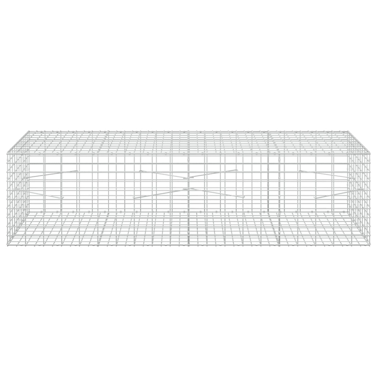 Gabion with 3.5 mm Wire and 5x10 cm Mesh 200x100x50 cm