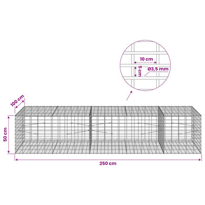 Gabion with 3.5 mm Wire and 5x10 cm Mesh 250x100x50 cm