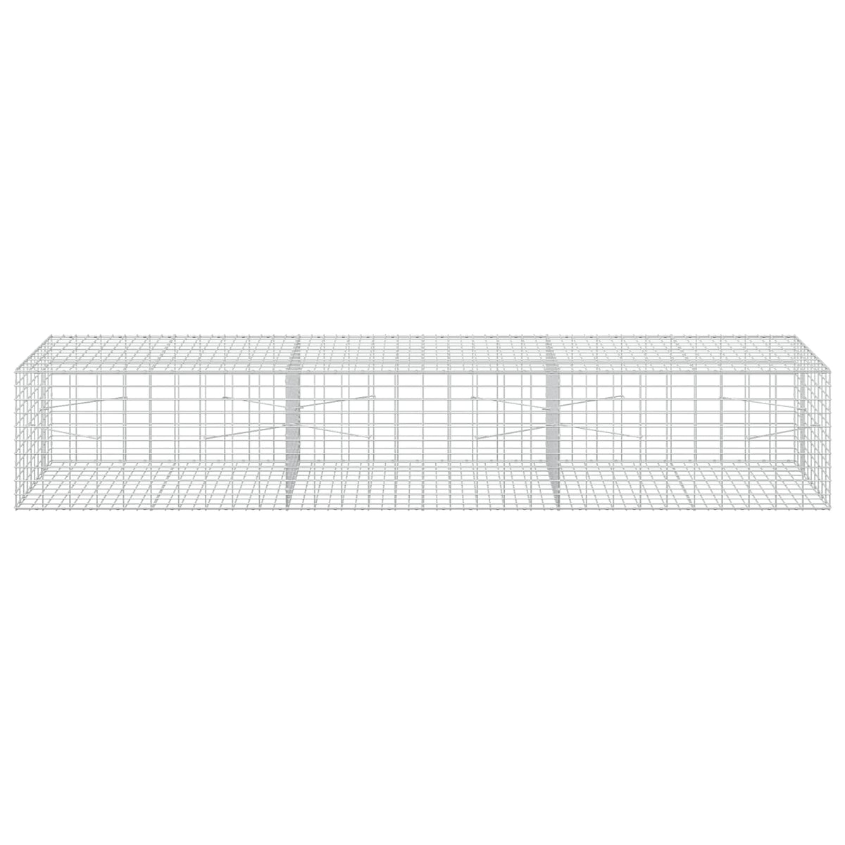Gabion with 3.5 mm Wire and 5x10 cm Mesh 300x100x50 cm