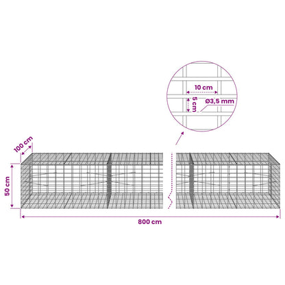 Gabion with 3.5 mm Wire and 5x10 cm Mesh 800x100x50 cm