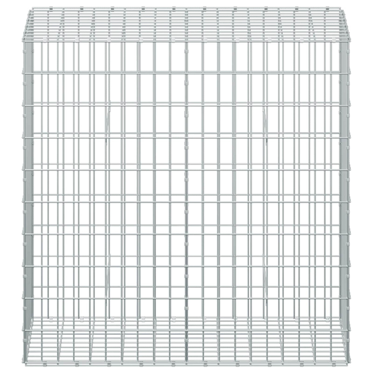 Gabion with 3.5 mm Wire and 5x10 cm Mesh 50x100x100 cm