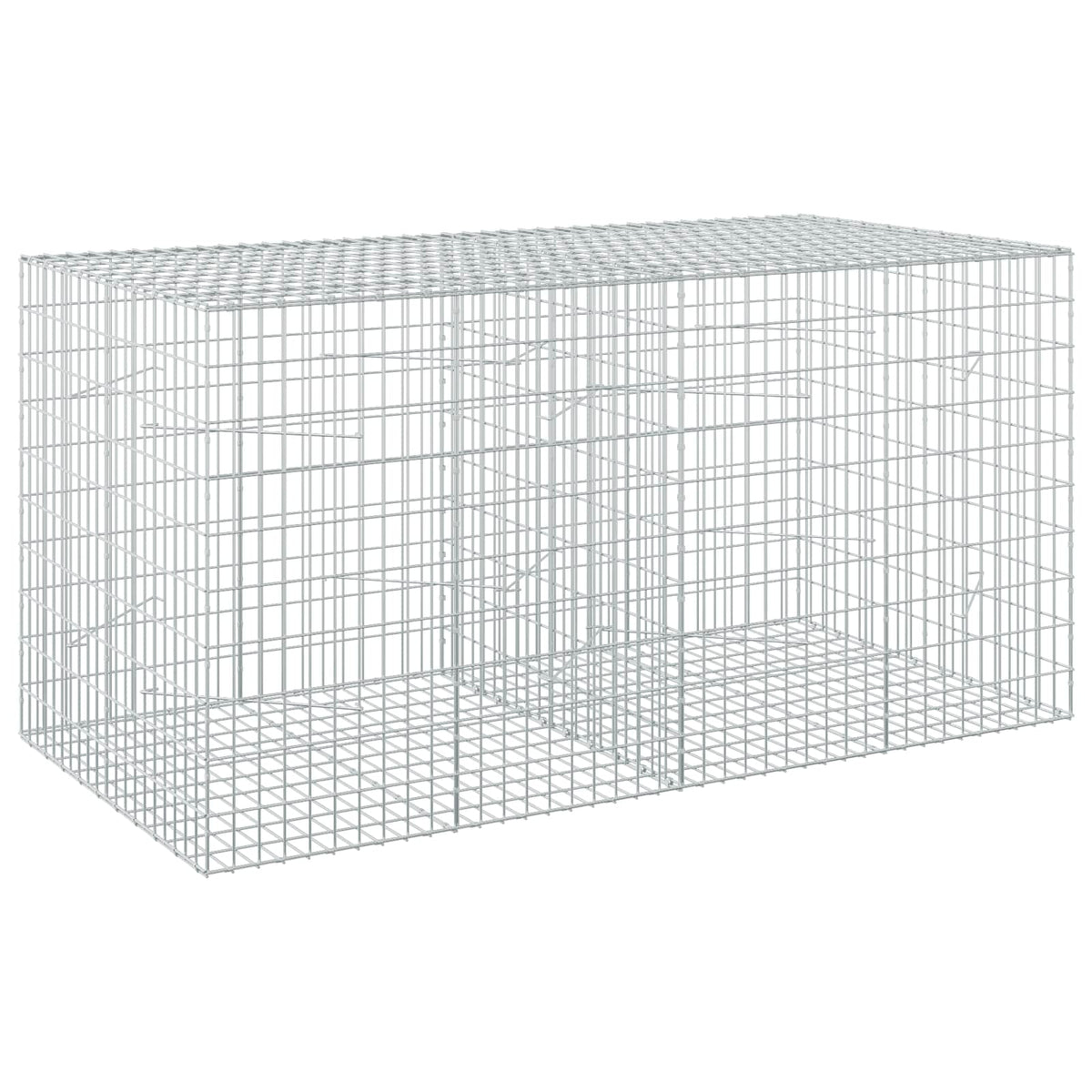Gabion with 3.5 mm Wire and 5x10 cm Mesh 200x100x100 cm