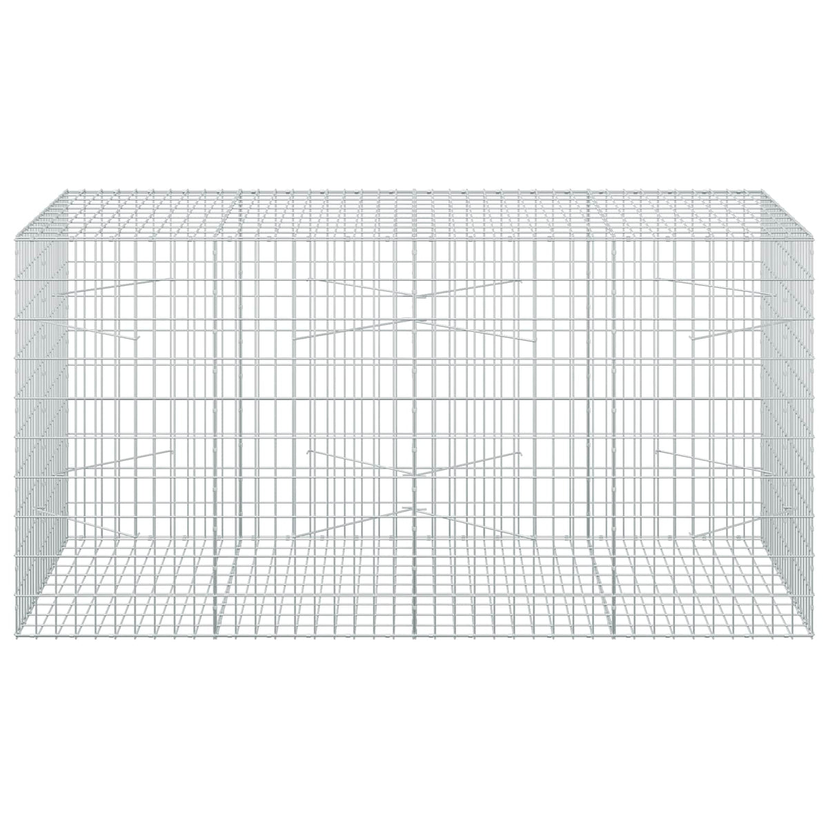 Gabion with 3.5 mm Wire and 5x10 cm Mesh 200x100x100 cm