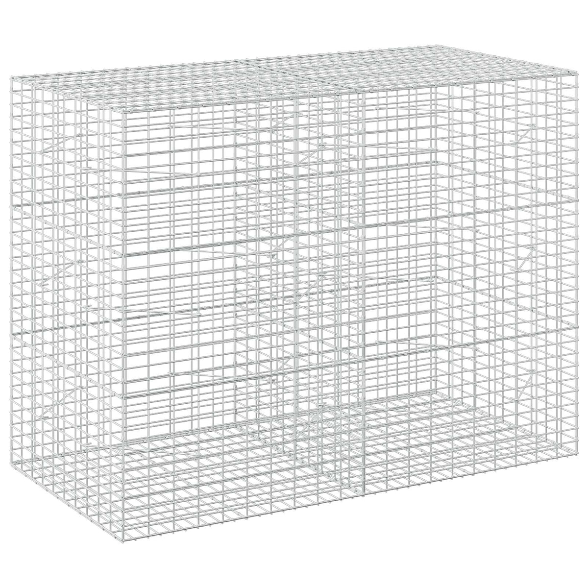 Gabion with 3.5 mm Wire and 5x10 cm Mesh 200x100x150 cm