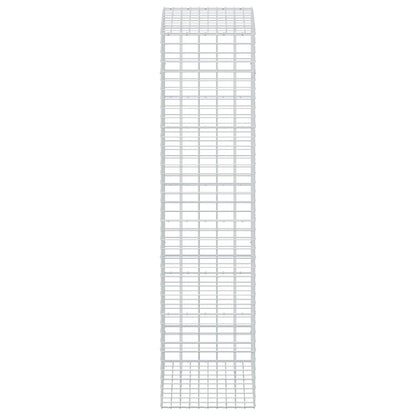 Gabion with 3.5 mm Wire and 5x10 cm Mesh 50x100x200 cm