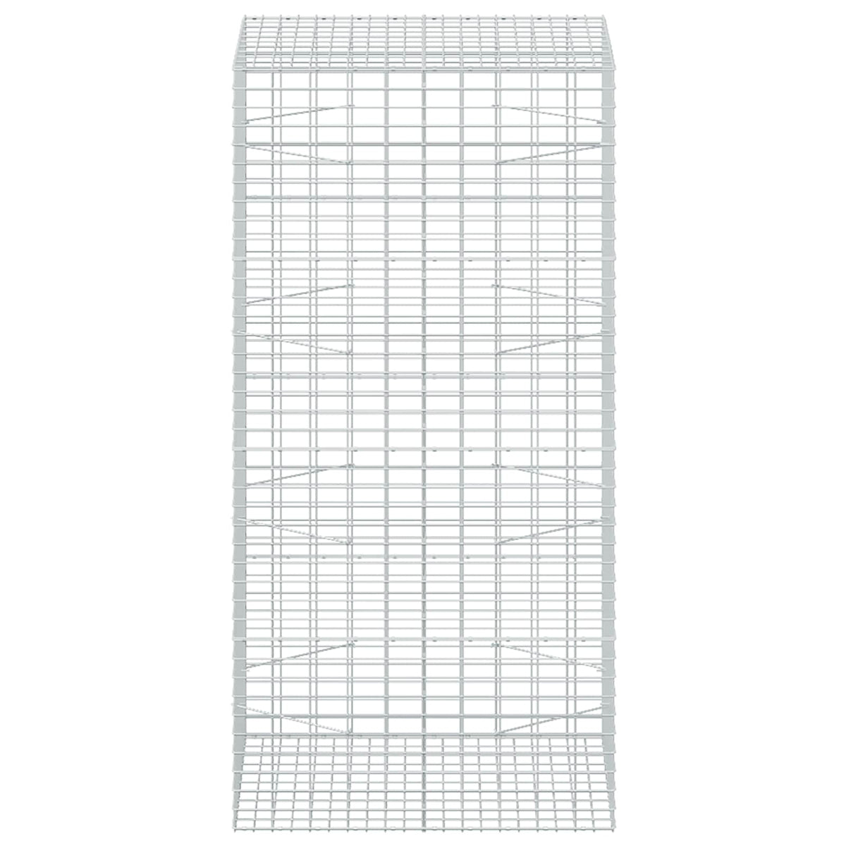 Gabion with 3.5 mm Wire and 5x10 cm Mesh 100x100x200 cm