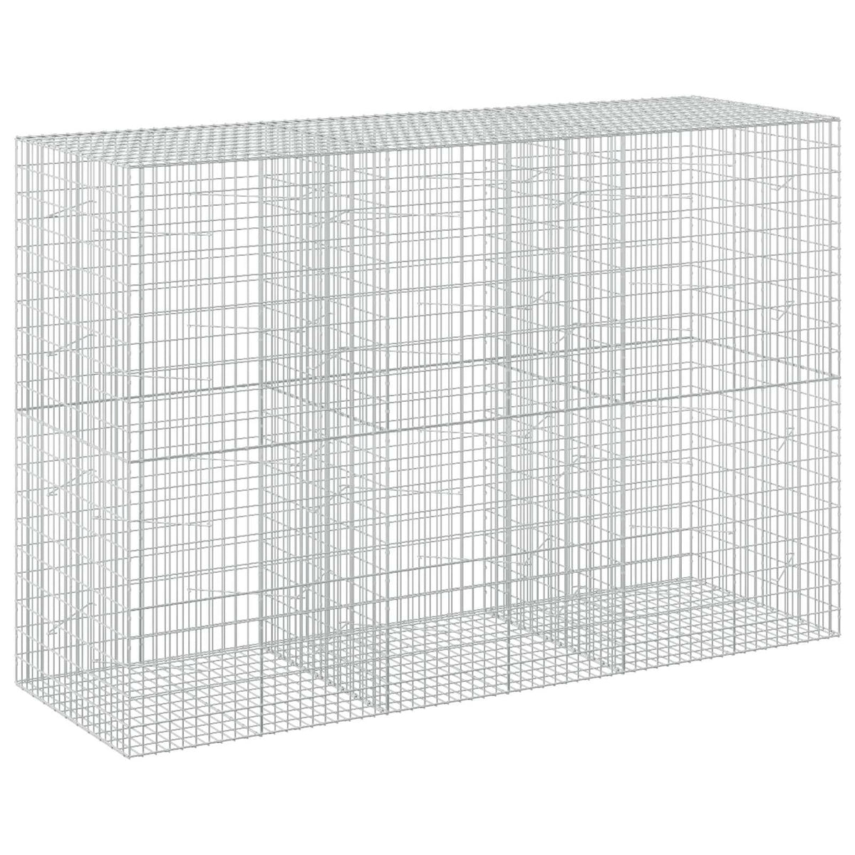 Gabion with 3.5 mm Wire and 5x10 cm Mesh 300x100x200 cm