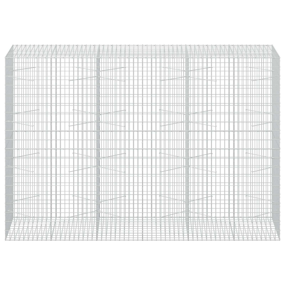 Gabion with 3.5 mm Wire and 5x10 cm Mesh 300x100x200 cm