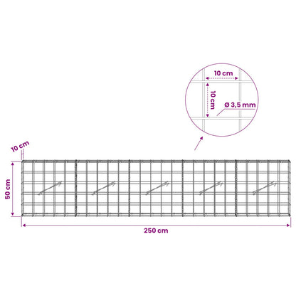Gabion with 3.5 mm Wire and 10x10 cm Mesh 250x10x50 cm