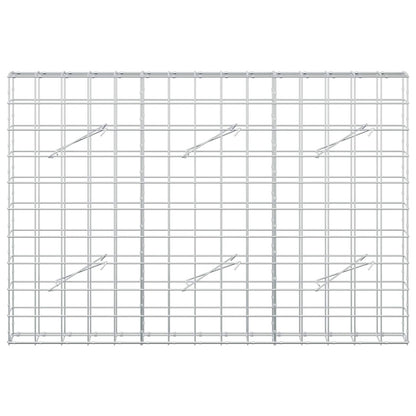 Gabion with 3.5 mm Wire and 10x10 cm Mesh 150x10x100 cm