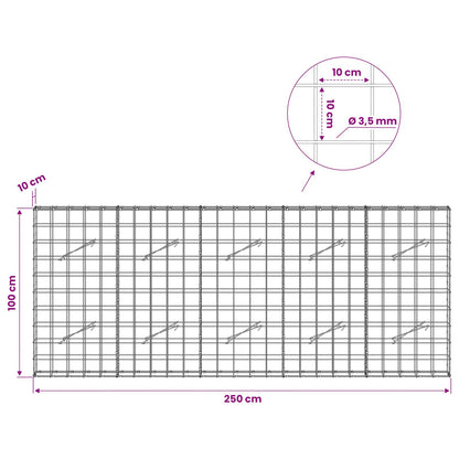 Gabion with 3.5 mm Wire and 10x10 cm Mesh 250x10x100 cm
