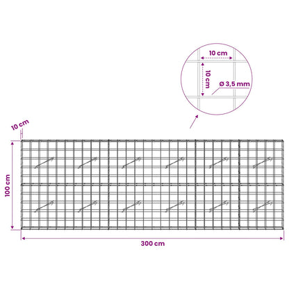 Gabion with 3.5 mm Wire and 10x10 cm Mesh 300x10x100 cm
