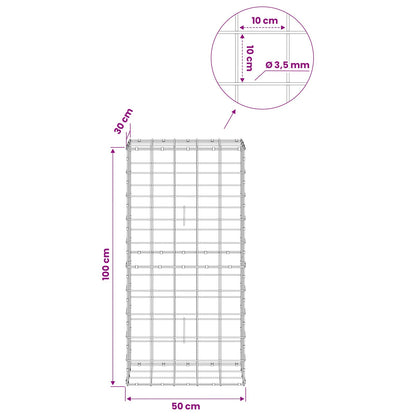Gabion with 3.5 mm Wire and 10x10 cm Mesh 50x30x100 cm