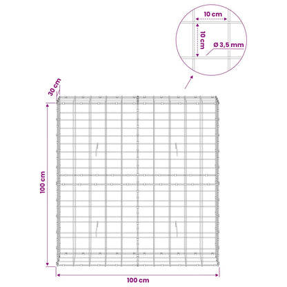 Gabion with 3.5 mm Wire and 10x10 cm Mesh 100x30x100 cm